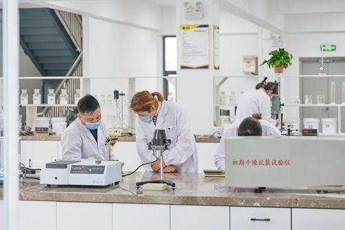 北方仿石漆龙头 以技术筑基，筑价值壁垒