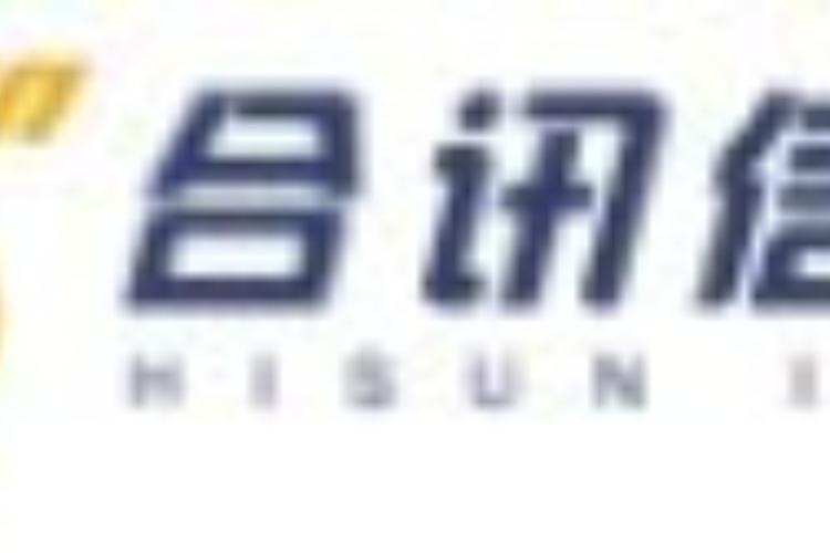 湖南合讯信息技术 信息技术咨询服务的专业伙伴与价值创造者